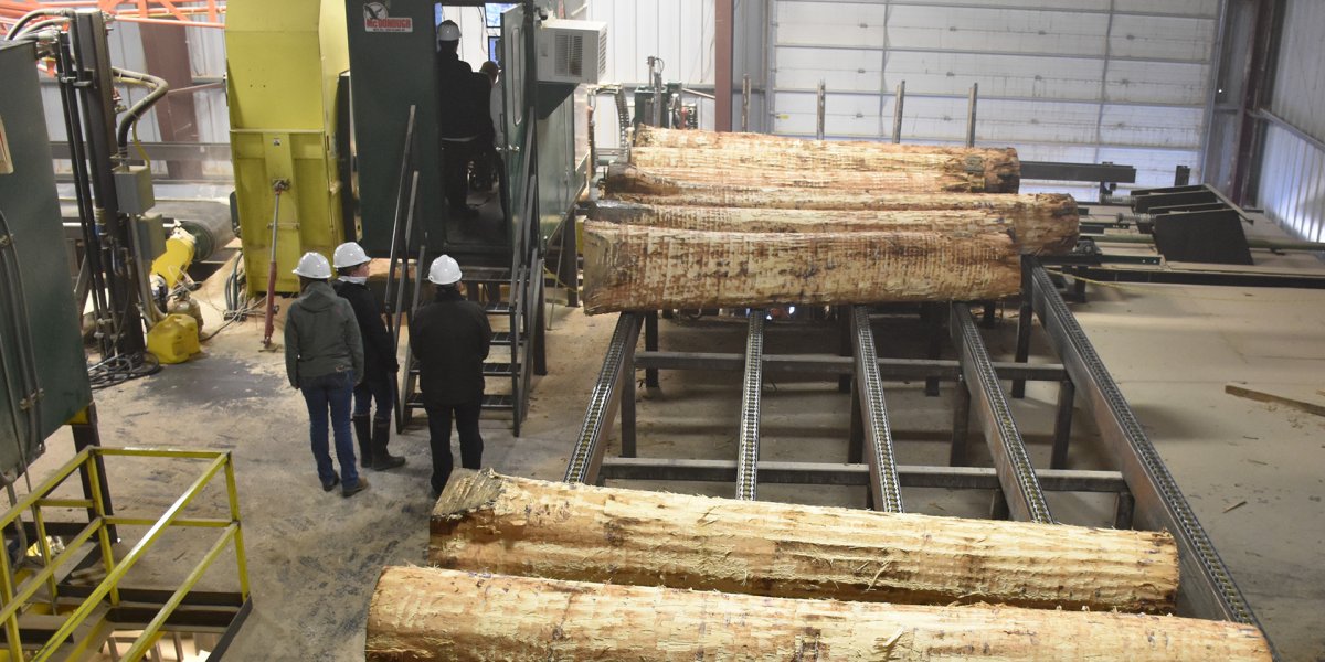 Gutchess Lumber Co. 2018. Credit: Catt. Co. Dept. of EDPT