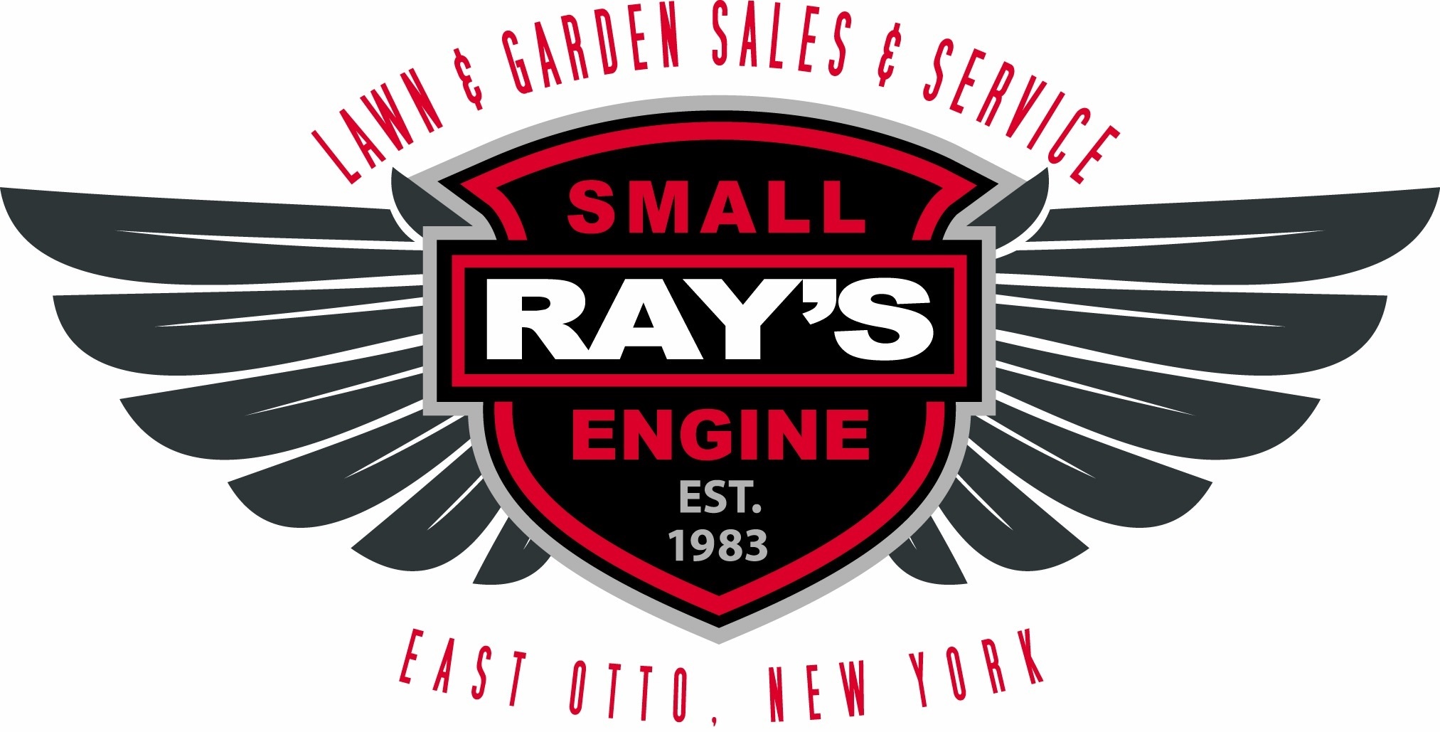 Ray's Small Engine